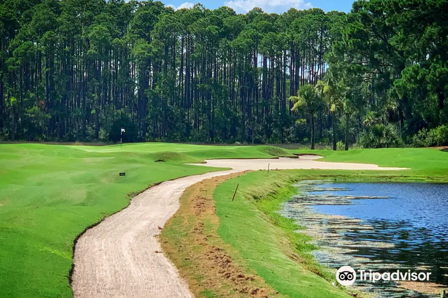 Heron Point by Pete Dye at Sea Pines Resort