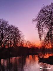 Hawkhurst Fish Farm