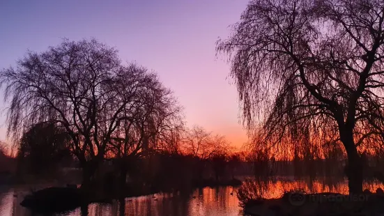 Hawkhurst Fish Farm