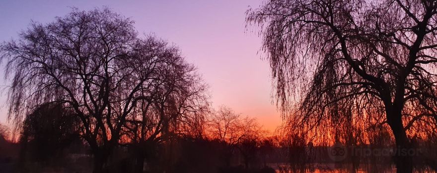 Hawkhurst Fish Farm