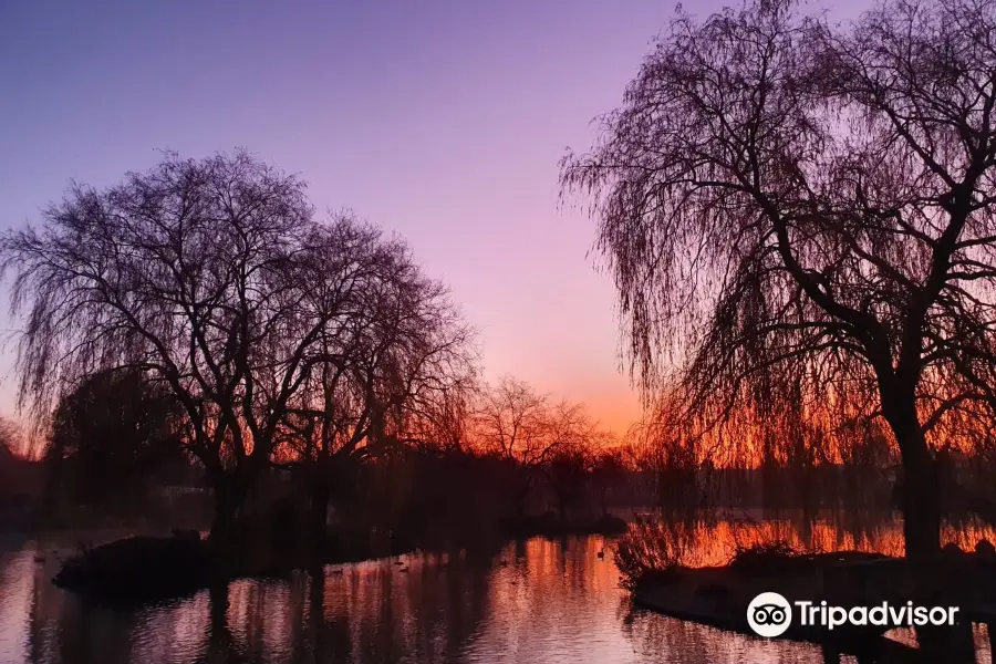 Hawkhurst Fish Farm