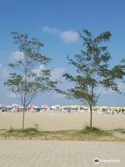 Giresun Belediye Plajı