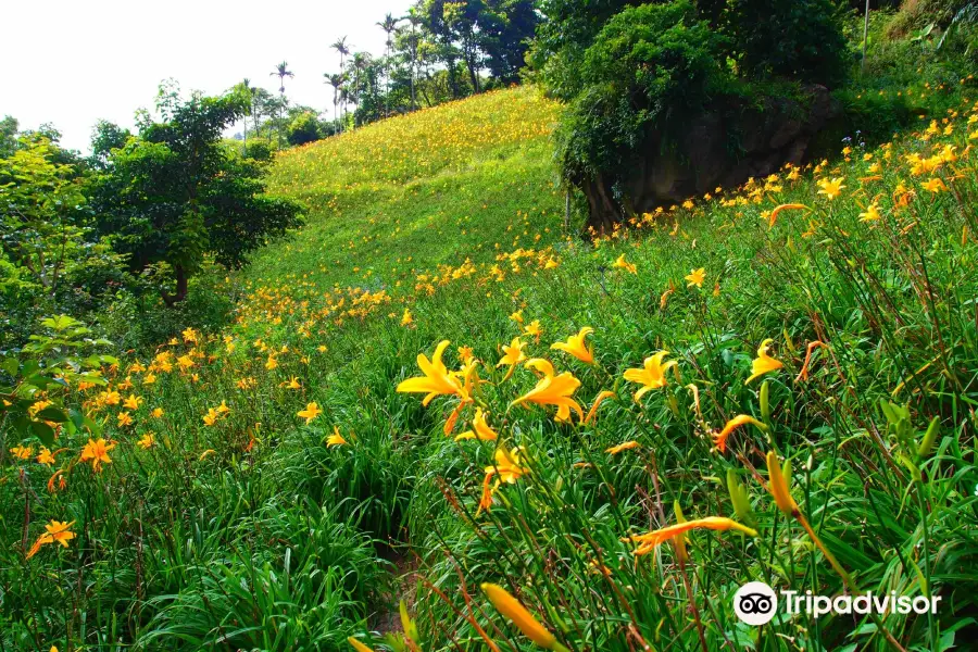 Muxinquan Leisure Farm