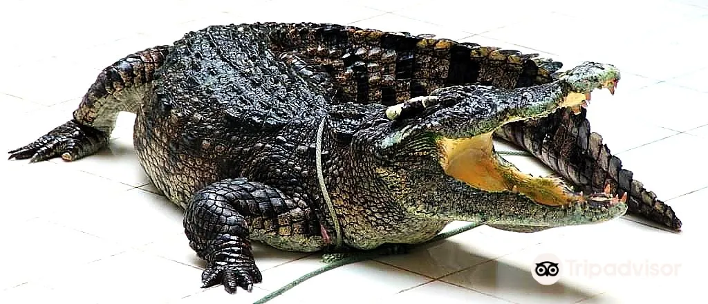3_Phuket Crocodile World