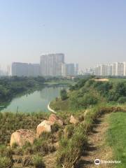 DLF Golf and Country Club