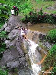 Klenting Kuning Waterfall