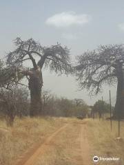 Musina Nature Reserve