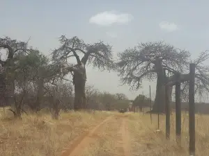 Musina Nature Reserve