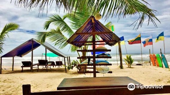 Sun Surf Paradise