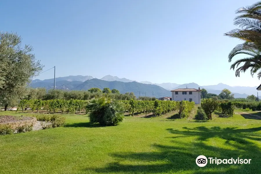 Azienda Vinicola Baia Del Sole - Federici