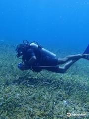 Chucho Underwater