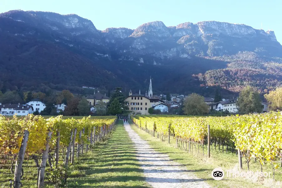 Weingut Castel Sallegg Tenuta