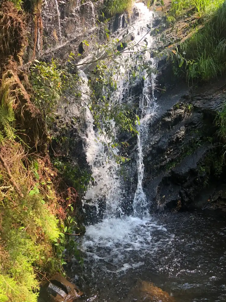 Hôtels à : Santa Eulalia de Oscos