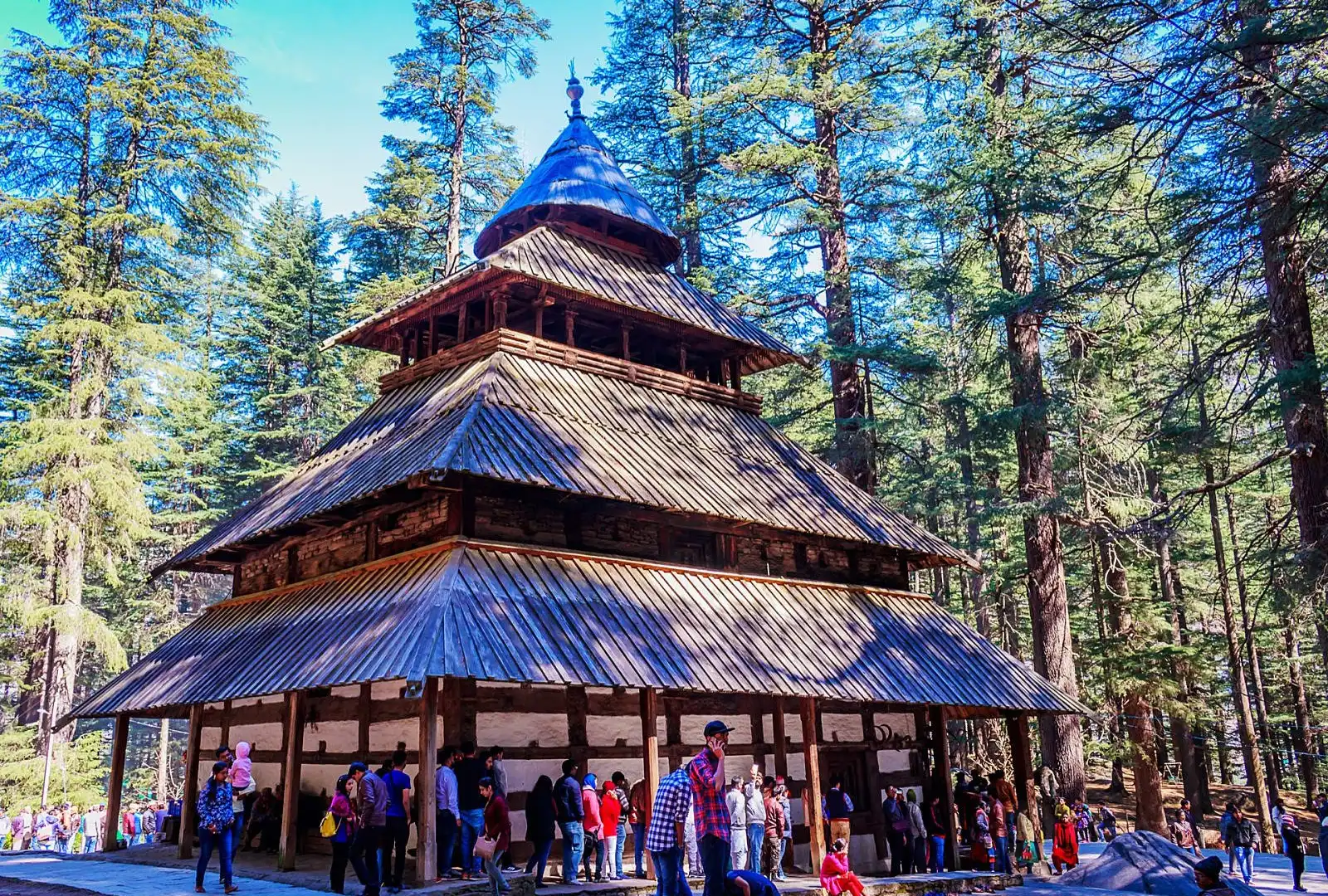 Hotels near Hadimba Devi Temple