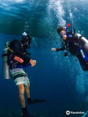 Seaquest Dive Center PADI 5* IDC Dive Resort