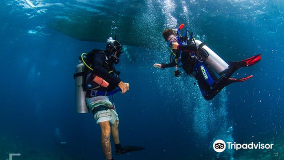 Seaquest Dive Center PADI 5* IDC Dive Resort