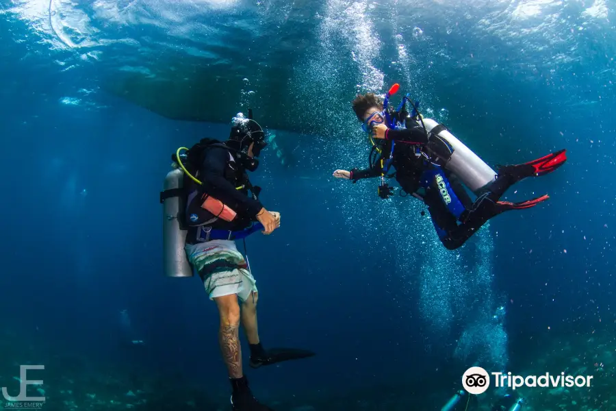 Latest travel itineraries for Seaquest Dive Center PADI 5* IDC Dive