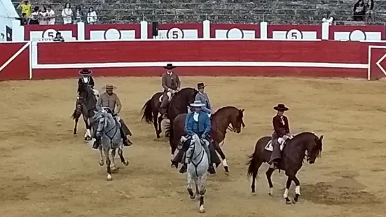 Plaza de Toros Los Rosales