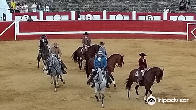 Plaza de Toros Los Rosales