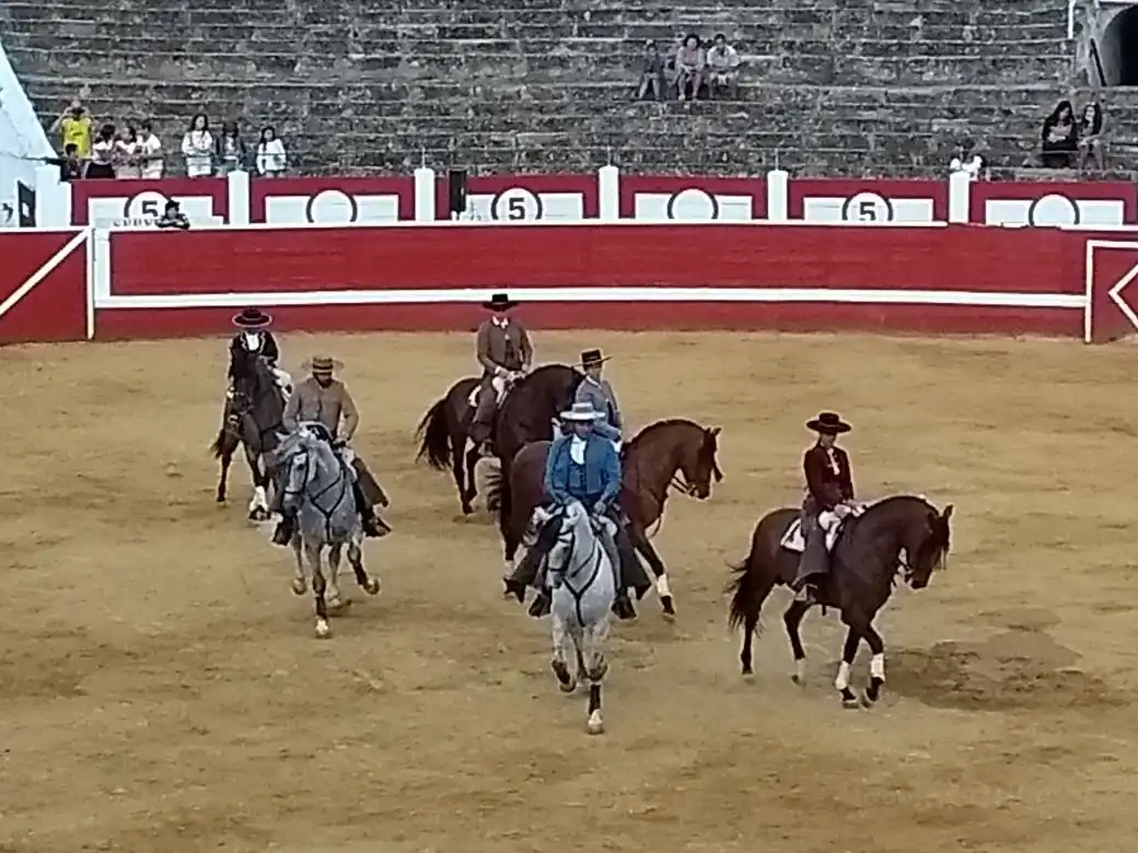 Hotels near Plaza de Toros Los Rosales