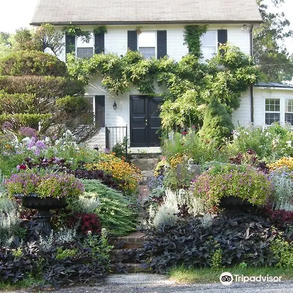 Ladew Topiary Gardens