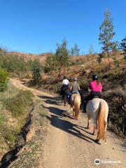 Country Riding Centre