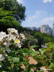 陶唐近隣公園