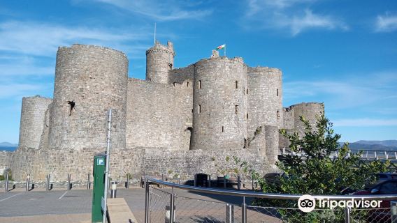 Castell Harlech