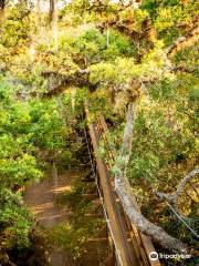 Myakka Canopy Walkway