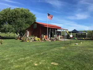 Bill's Berry Farm