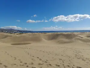 Playa de Maspalomas (Maspalomas)