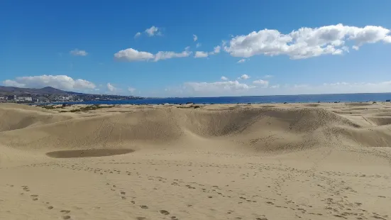 馬斯帕洛馬斯海灘