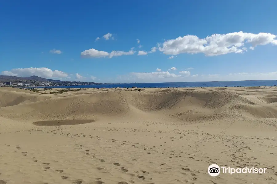 Playa de Maspalomas