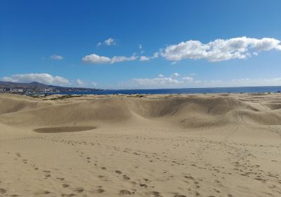 Playa de Maspalomas