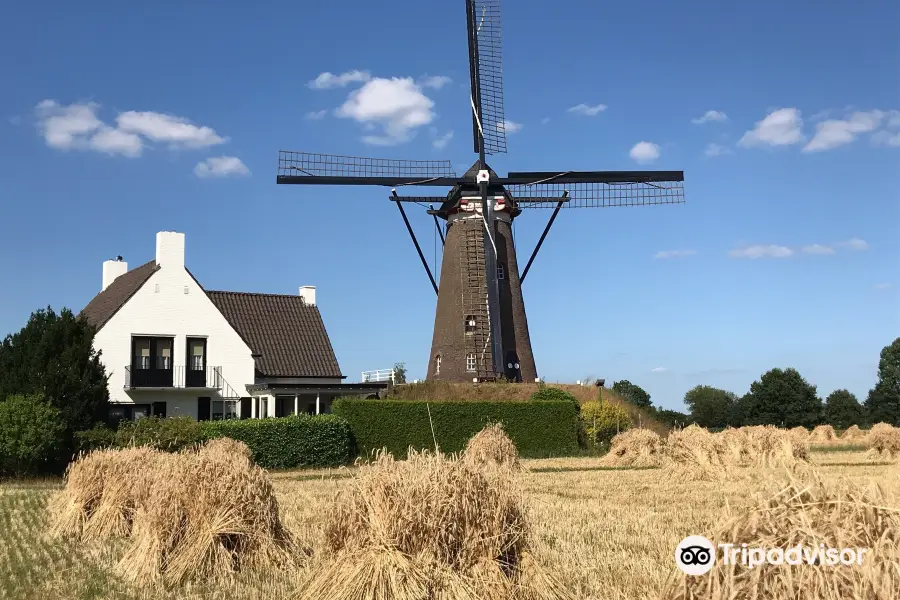 Windkorenmolen De Roosdonck