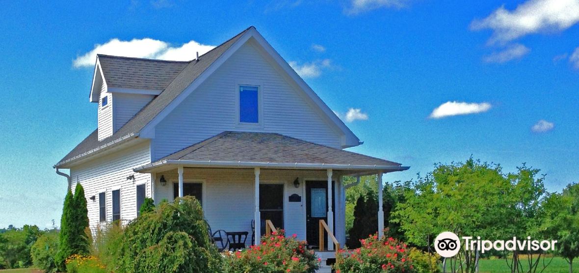 เที่ยวBaroda Township (2024) ที่เที่ยวใน Baroda Township, กิจกรรมสนุก