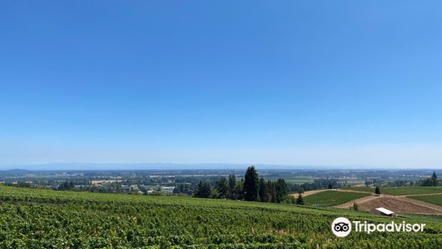 Winderlea Vineyard & Winery