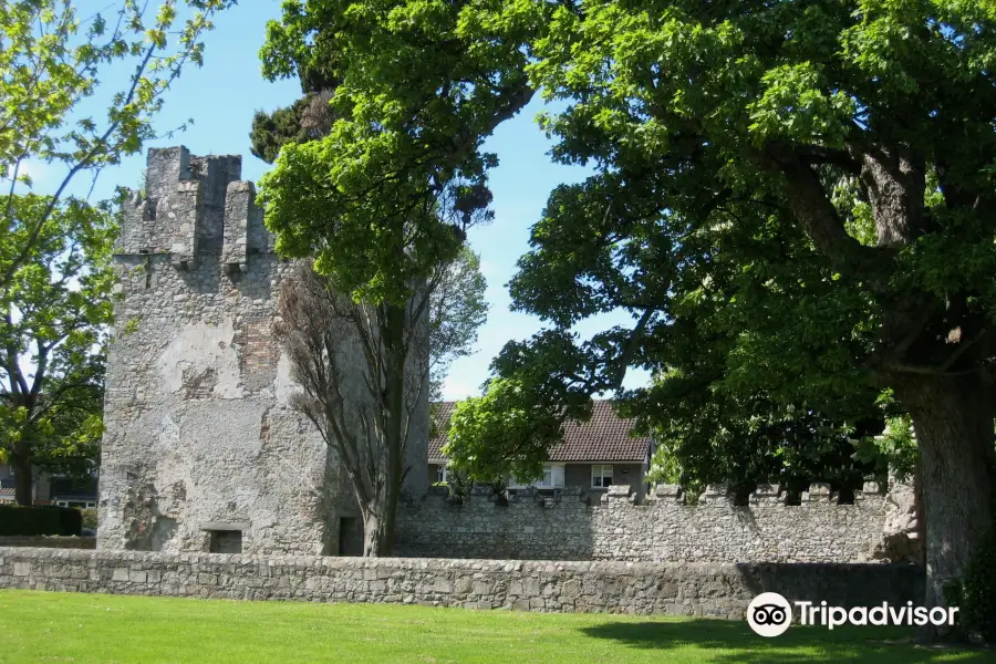 Monkstown Castle