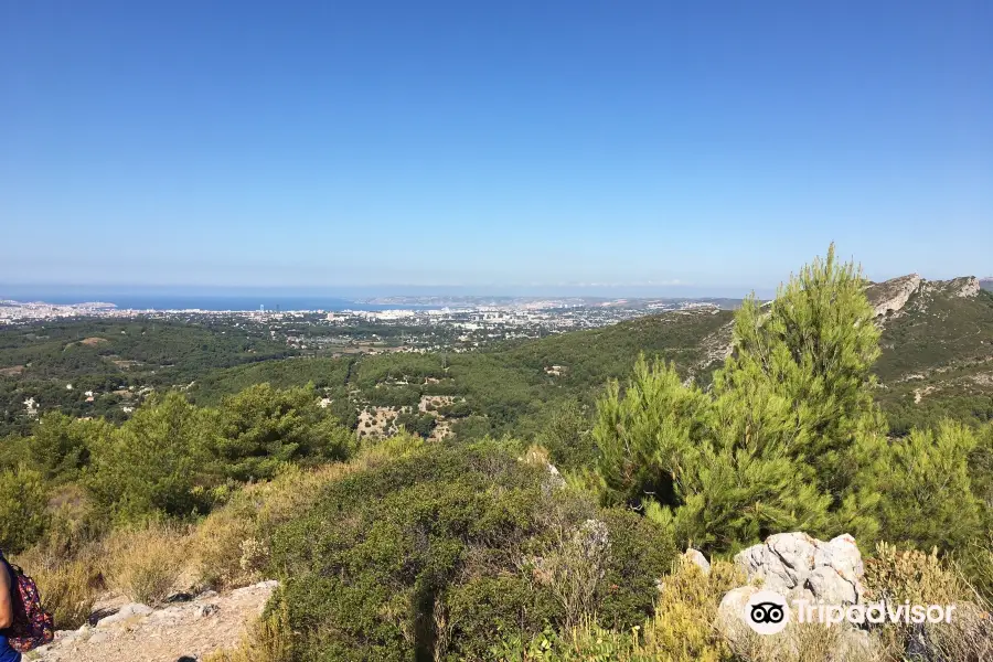 Domaine de la Font de Mai