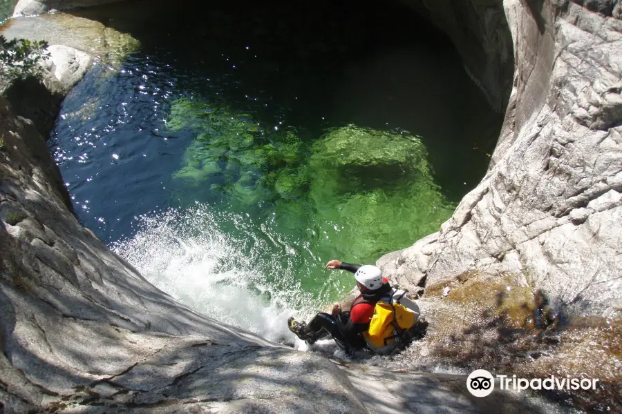 Liquid Earth / Nature Experience