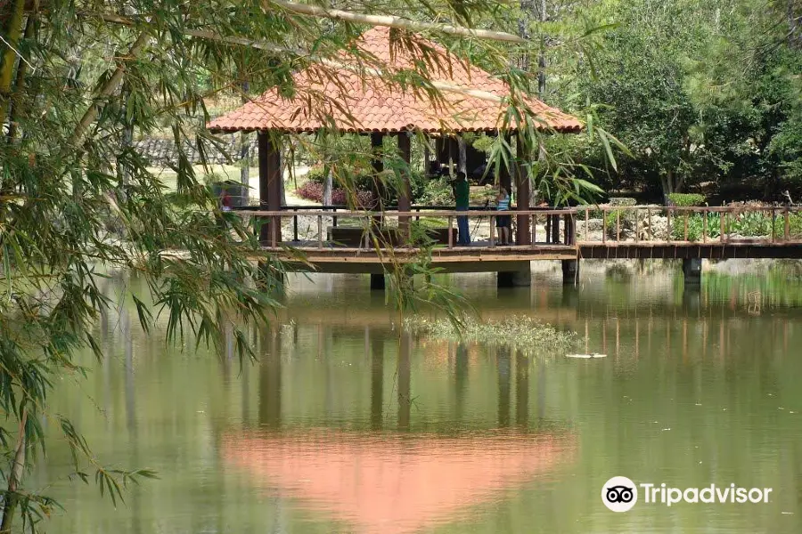 Jardin Botanico Nacional