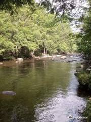 Pigeon River