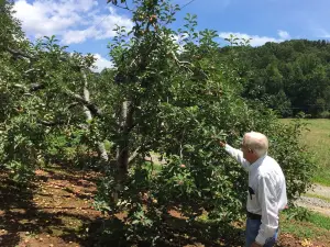 Red Apple Barn