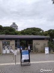 Jardín de Plantas Tropicales de Enoshima