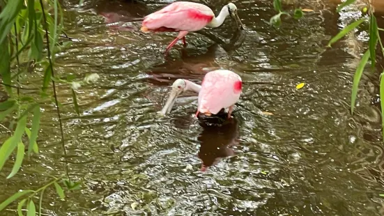 Brooker Creek Preserve & Environmental Education Center