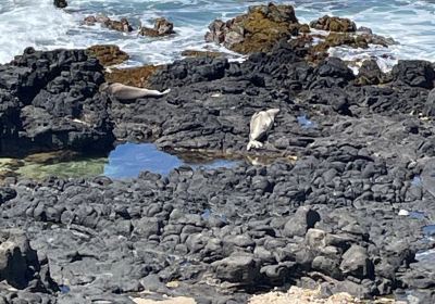 Poka'i Bay Beach Park