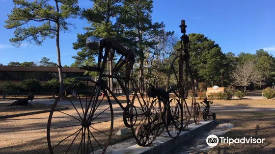 The American Sport Art Museum & Archives