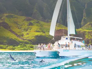 Kauai Sea Tours