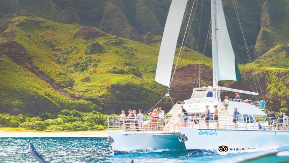 Kauai Sea Tours