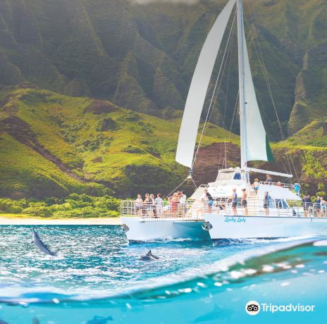 Kauai Sea Tours